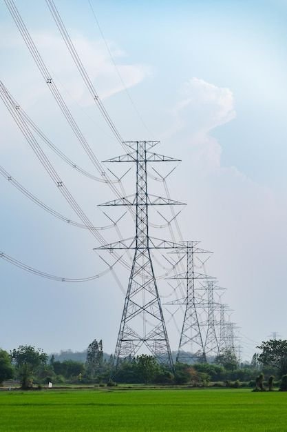Line Pole Works In Nashik